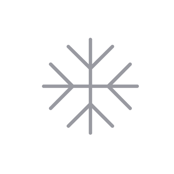 icon for Temperature-Controlled / Cold Store